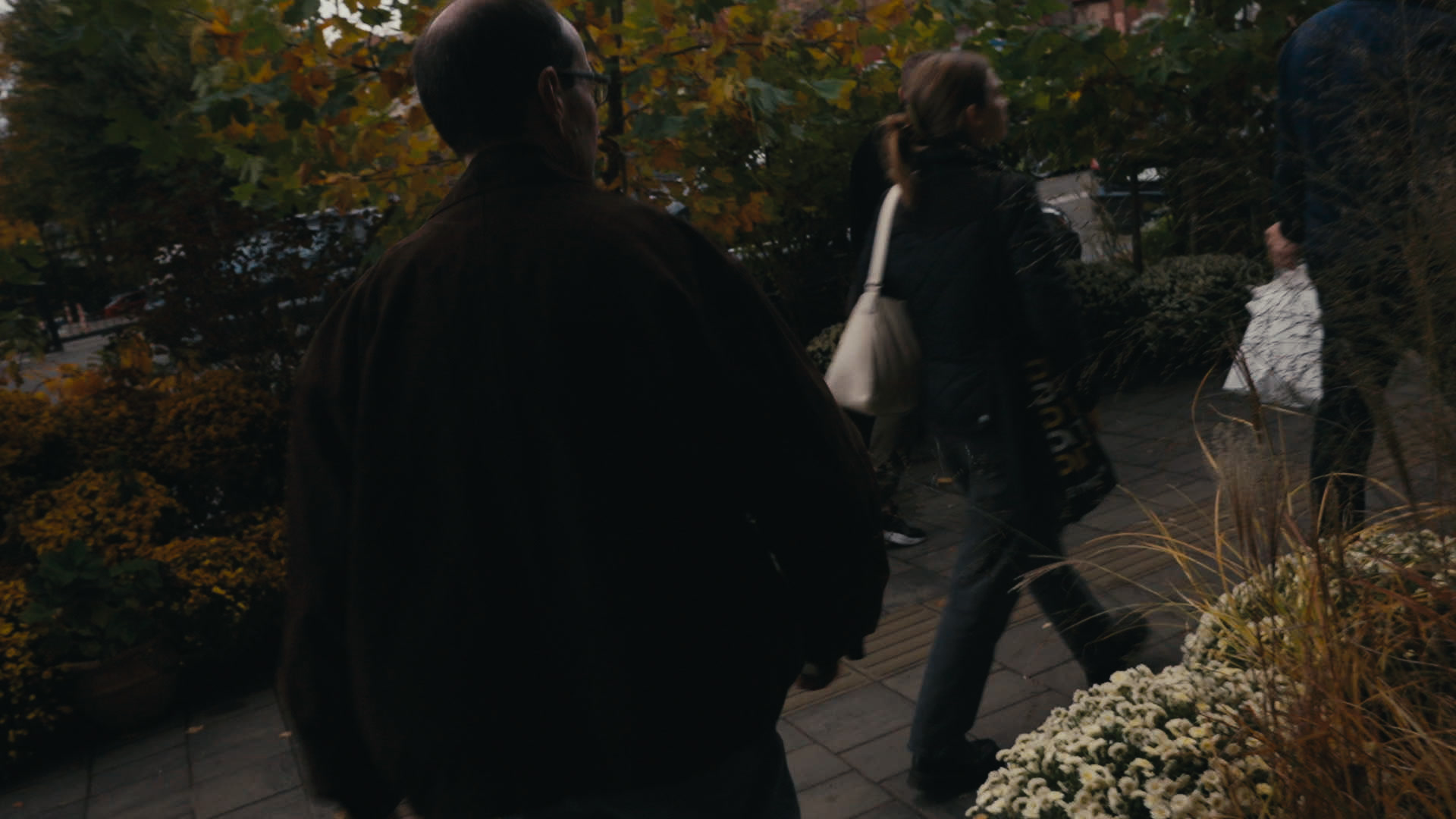 Keyframe: ZV-E1 20251026_0478